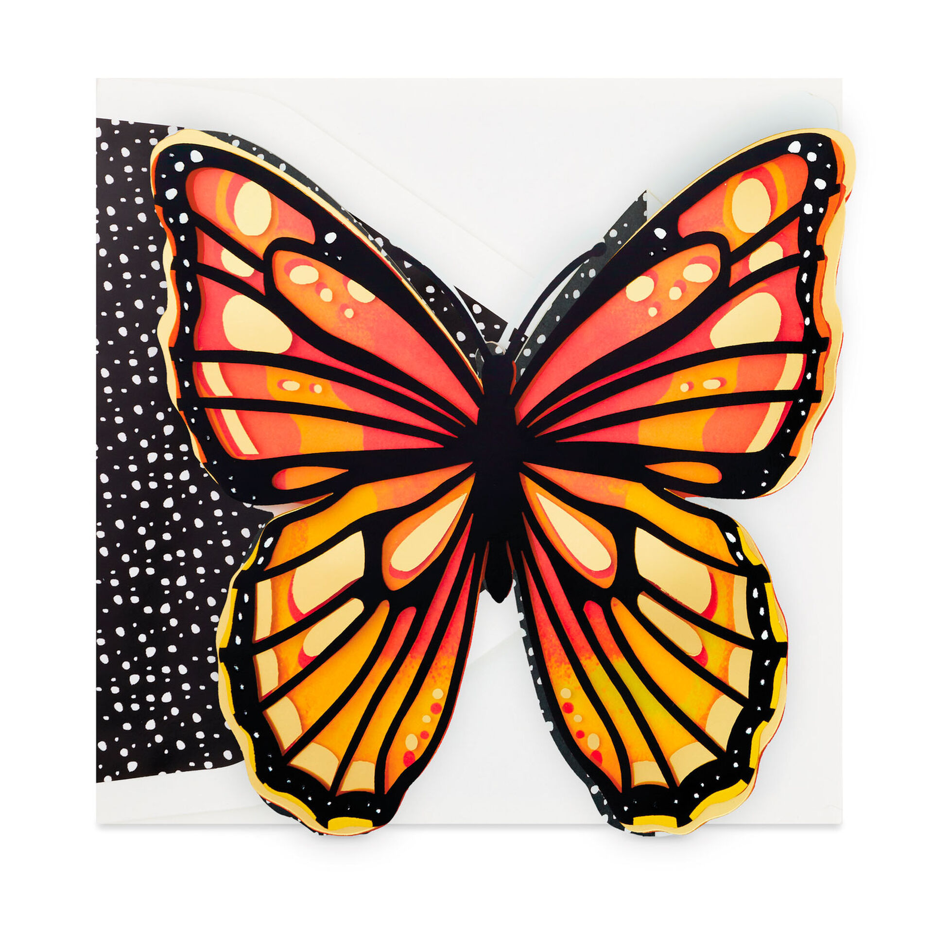 Orange-and-Black-Beautiful-Butterfly-Blank-Card_899LAD3404_01