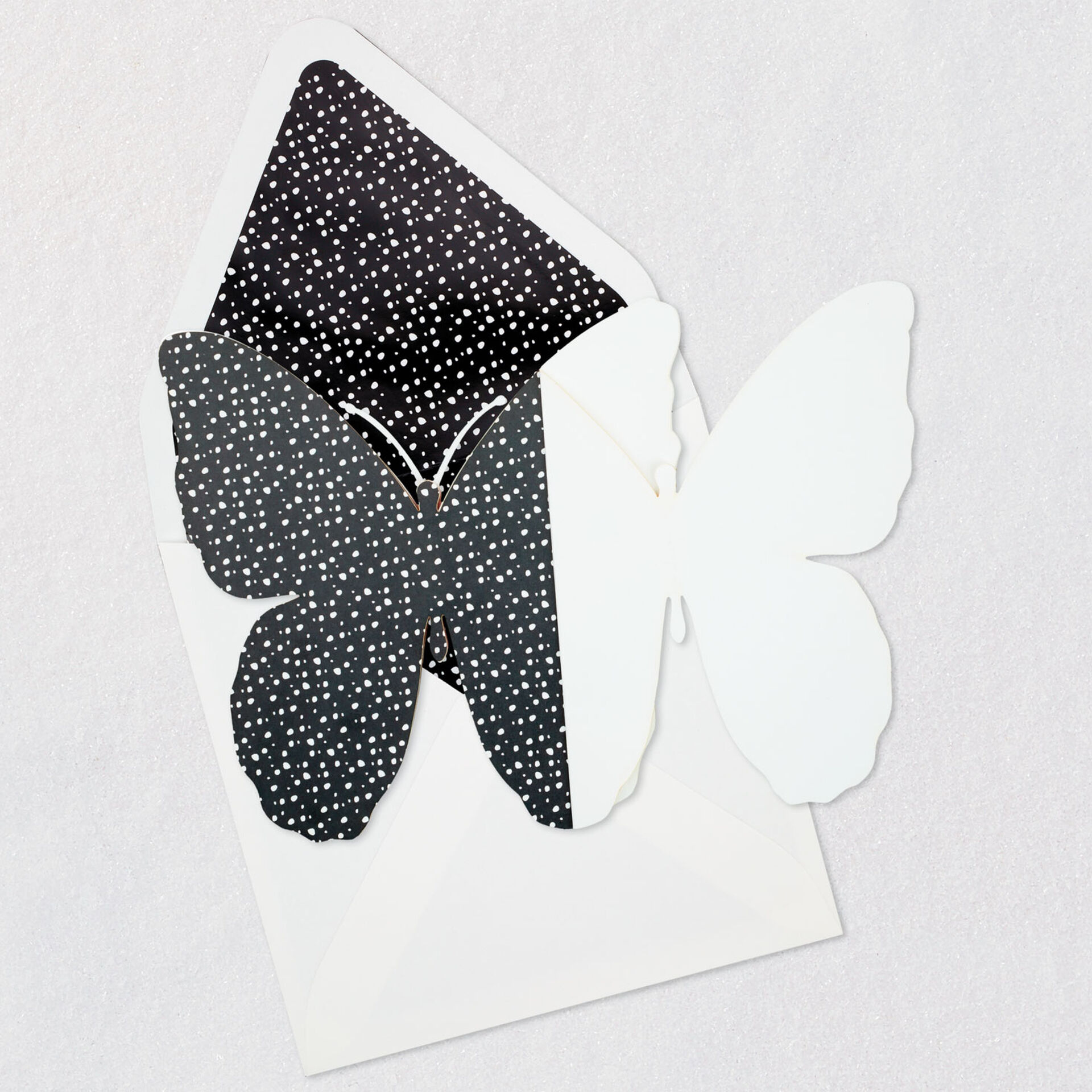 Orange-and-Black-Beautiful-Butterfly-Blank-Card_899LAD3404_02