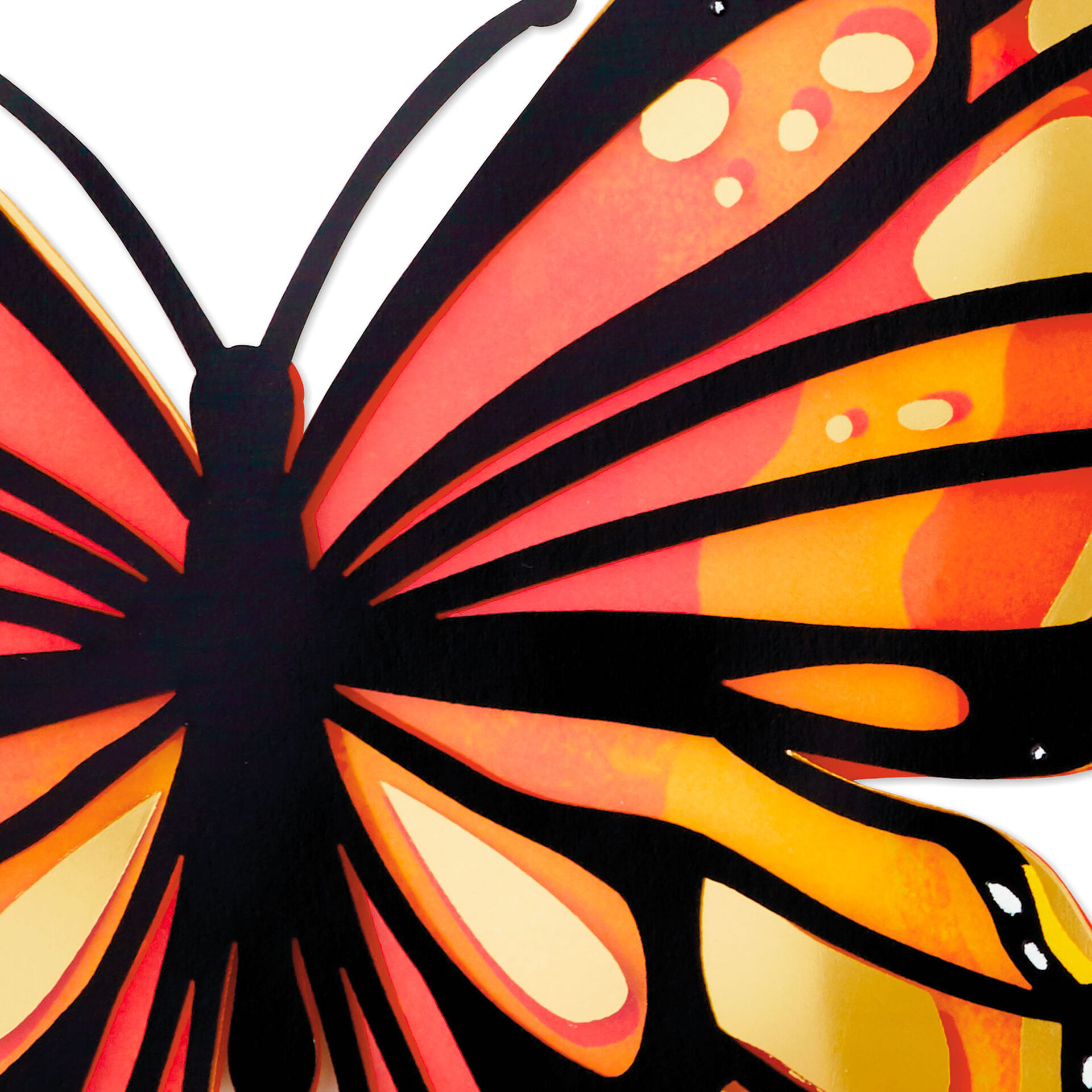 Orange-and-Black-Beautiful-Butterfly-Blank-Card_899LAD3404_03