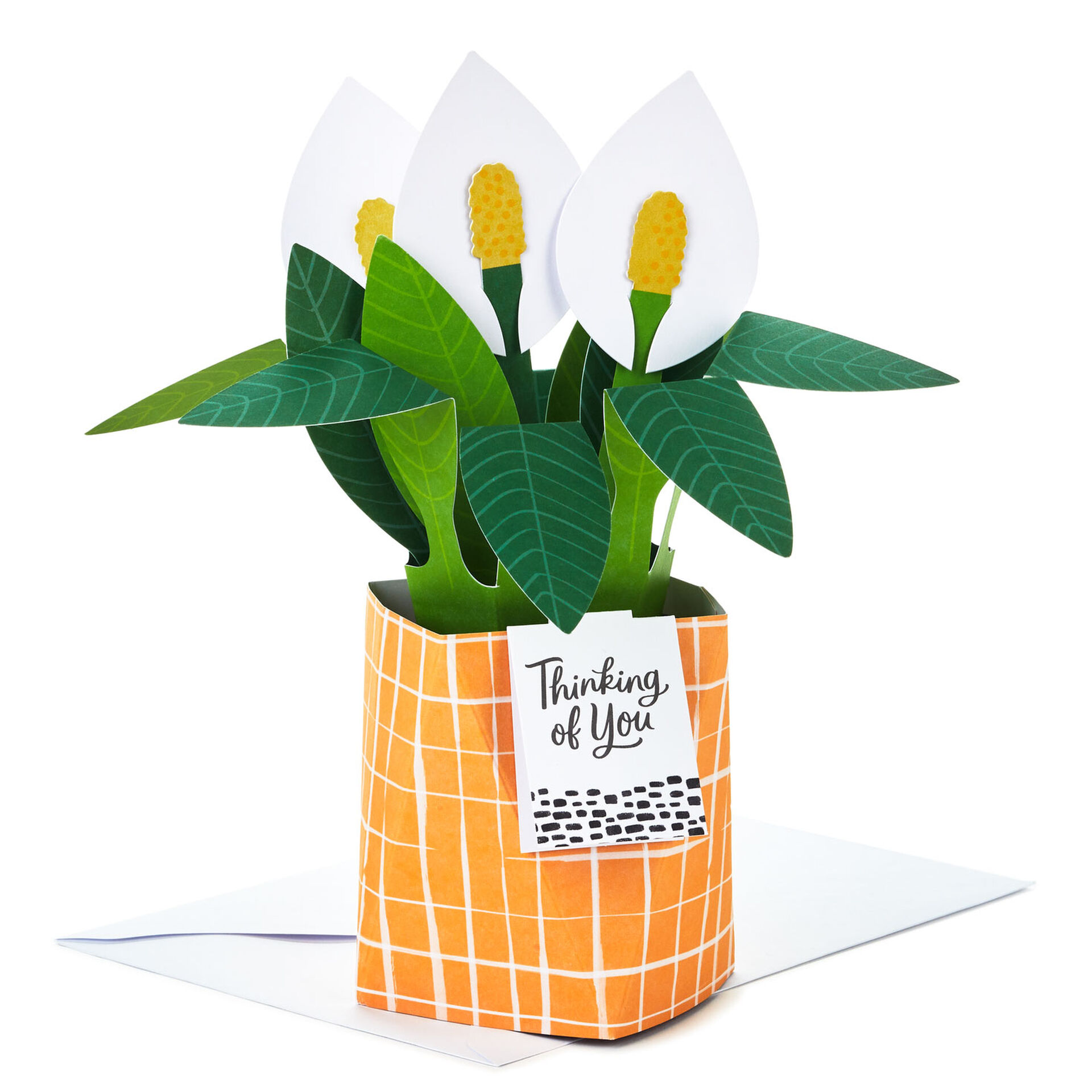 Peace-Lily-Pop-Plant-3D-PopUp-Thinking-of-You-Card_799WDR1202_01