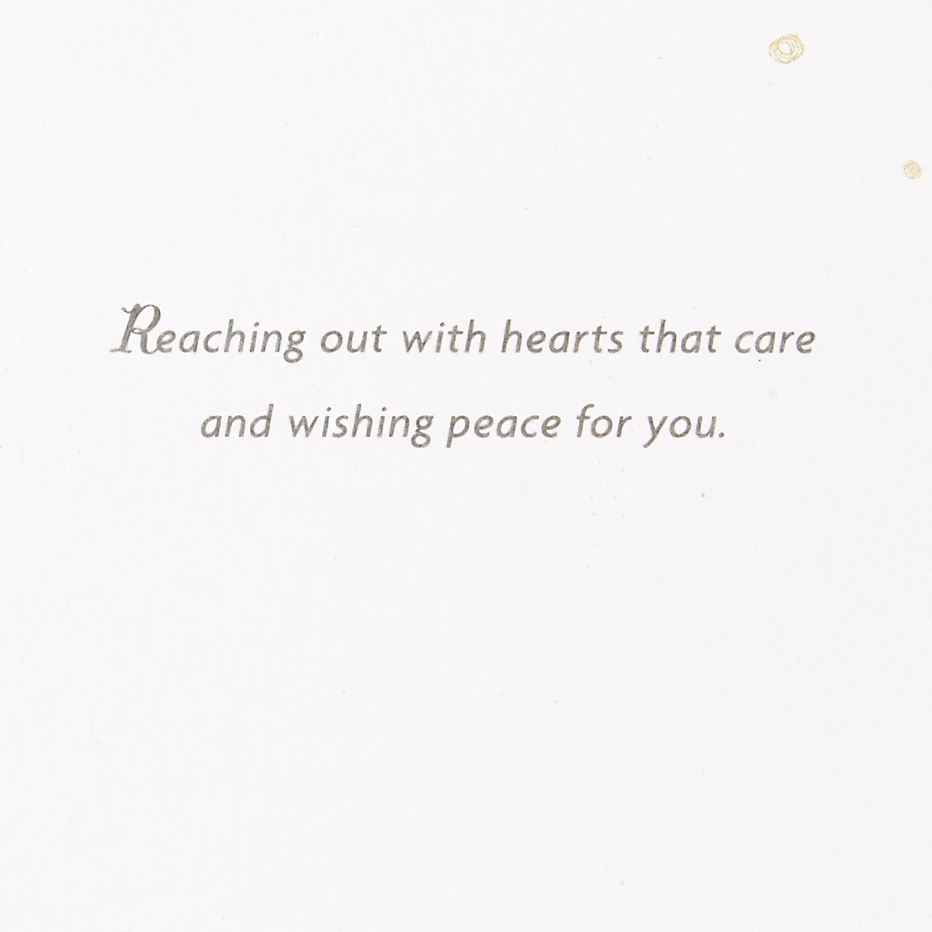 Pears-and-Blueberries-Illustration-Sympathy-Card_429S2595_02