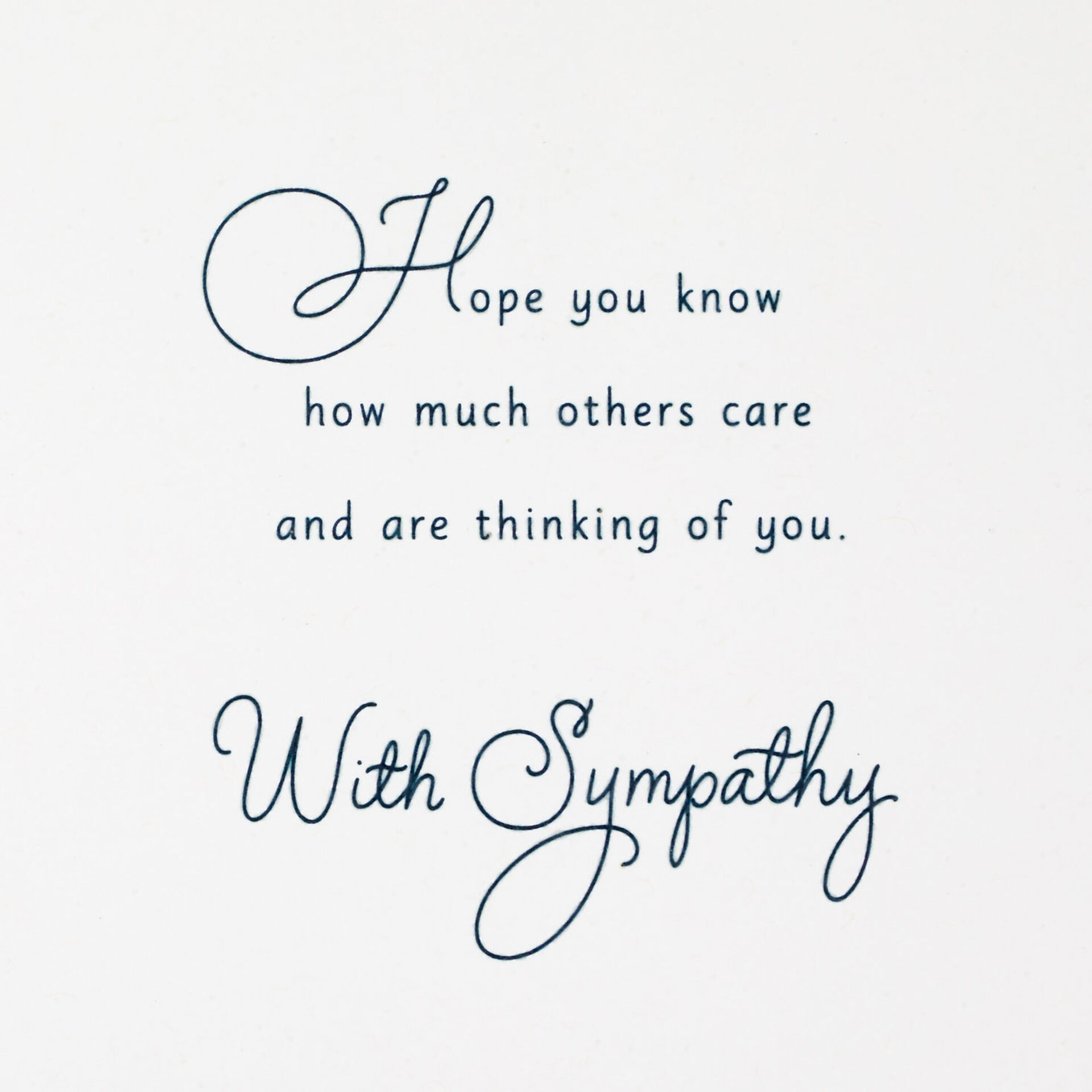 Photo-of-Leaves-Sympathy-Card-for-Loss-of-Brother_399S9457_02