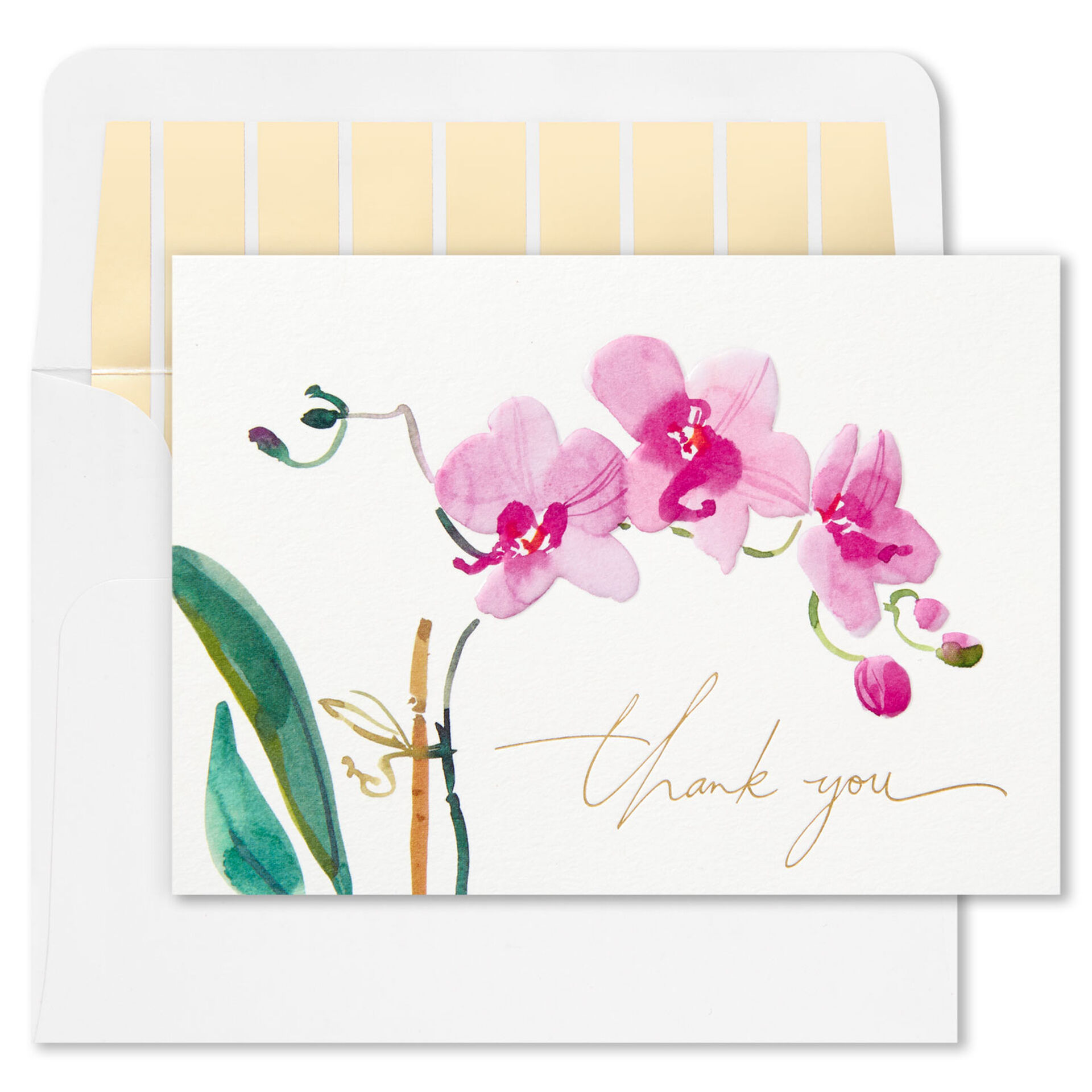Pink-Orchid-Blank-ThankYou-Notes_1199TYN2435_02