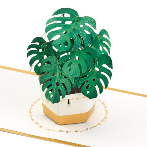 Plant-in-Pot-3D-PopUp-Thinking-of-You-Card_1299LAD2900_01