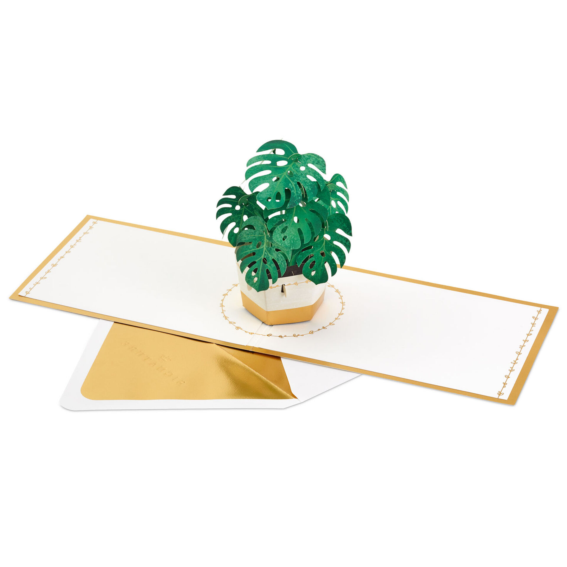 Plant-in-Pot-3D-PopUp-Thinking-of-You-Card_1299LAD2900_02