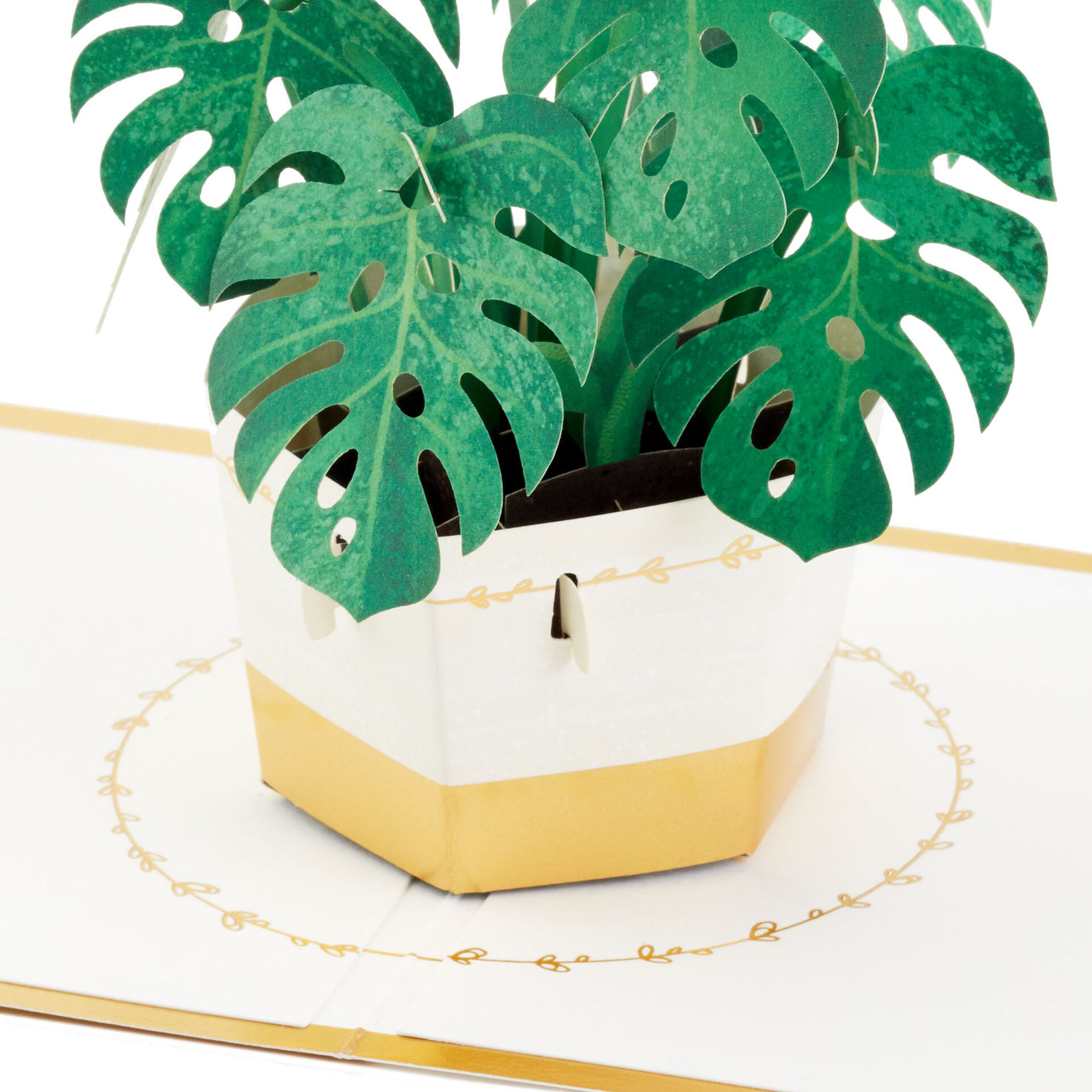 Plant-in-Pot-3D-PopUp-Thinking-of-You-Card_1299LAD2900_03