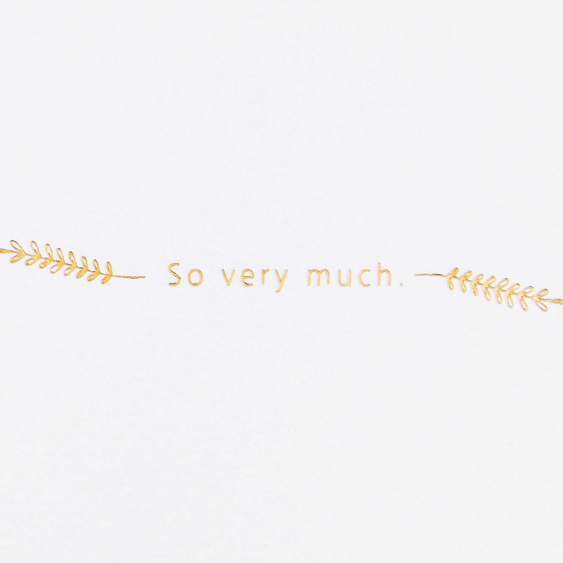 Script-Lettering-and-Vines-ThankYou-Card_699LAD9113_02