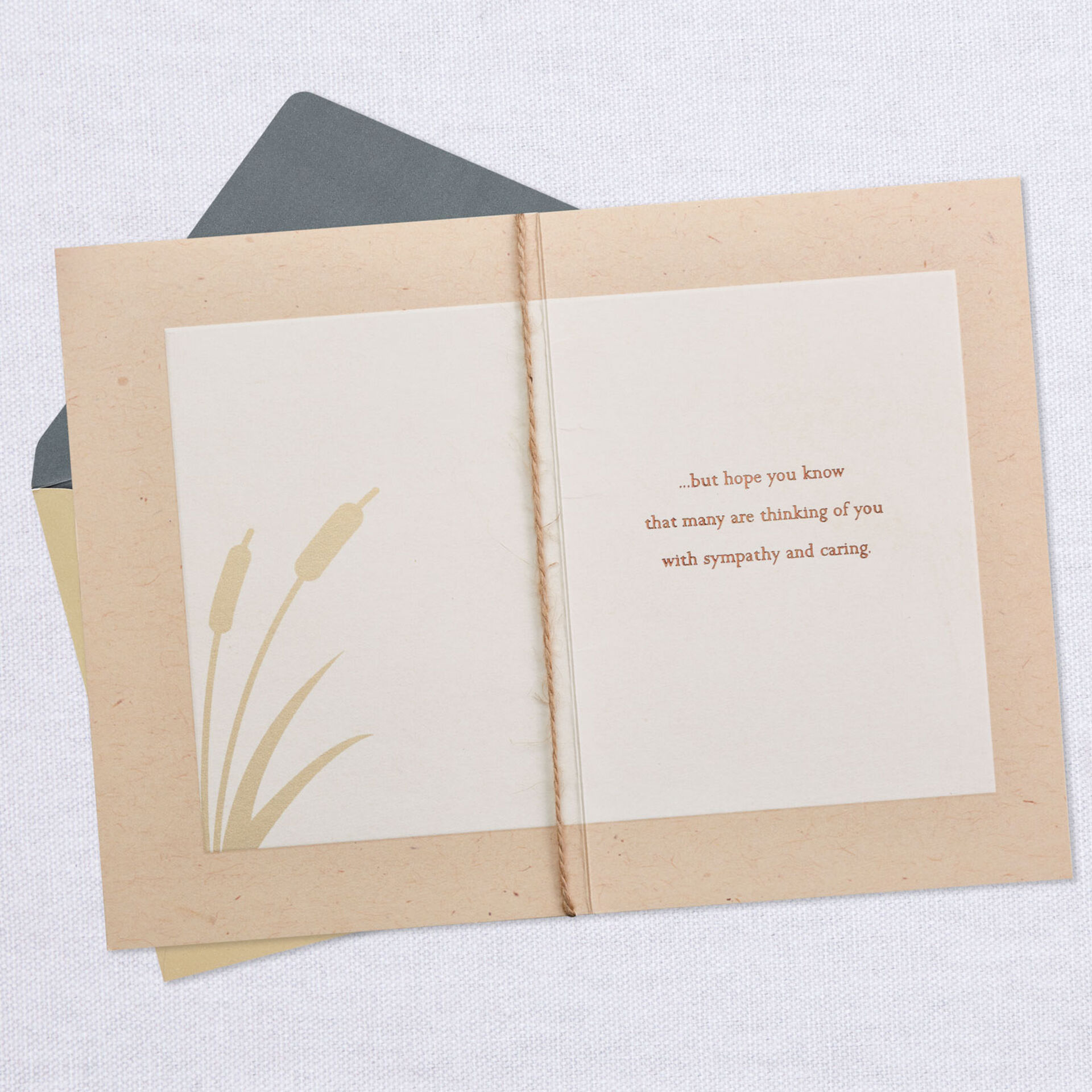 Serene-Cattails-Sympathy-and-Caring-Card_429S2592_03