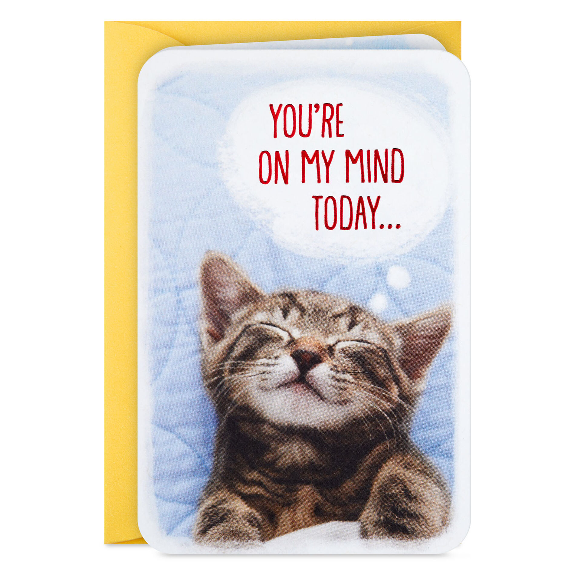 Sleeping-Kitten-Thinking-of-You-Mini-Card_199LJB2071_03