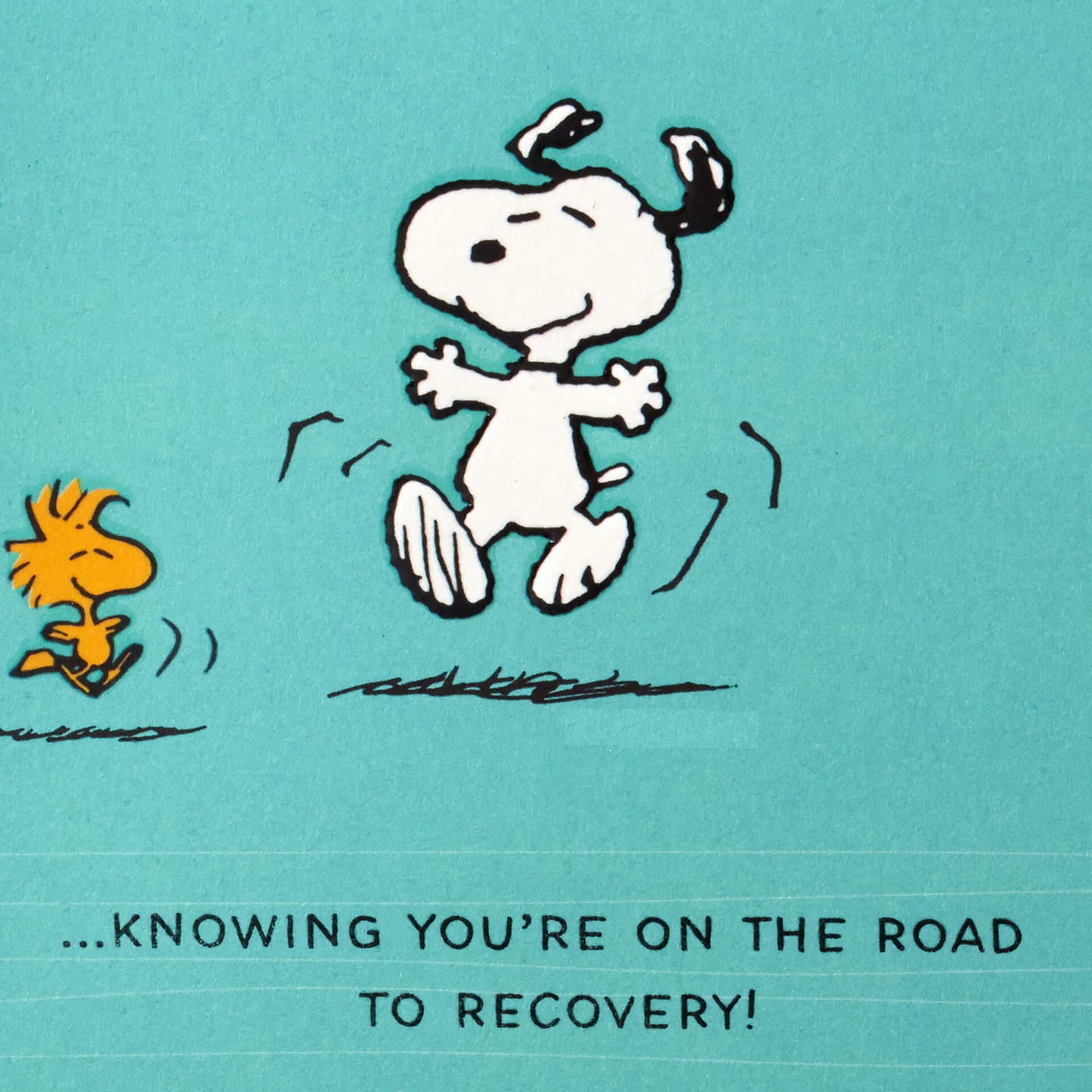 Snoopy-and-Woodstock-Happy-Dance-Get-Well-Card_499C9405_02