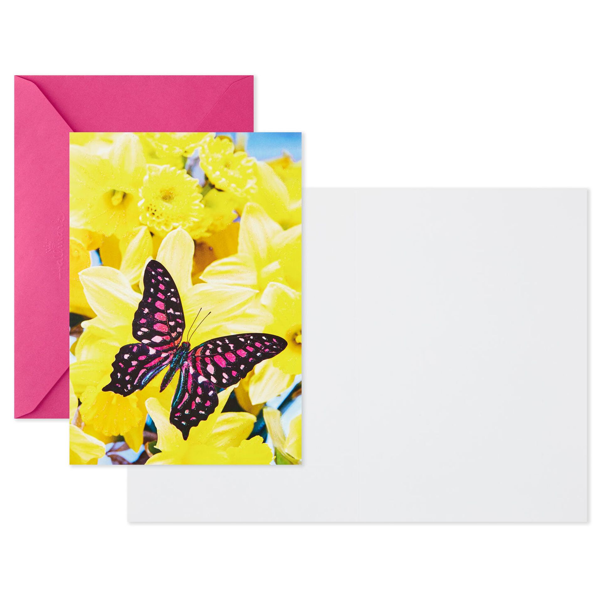 Spring-Flowers-Assorted-Blank-Cards_799WWZ1035_02