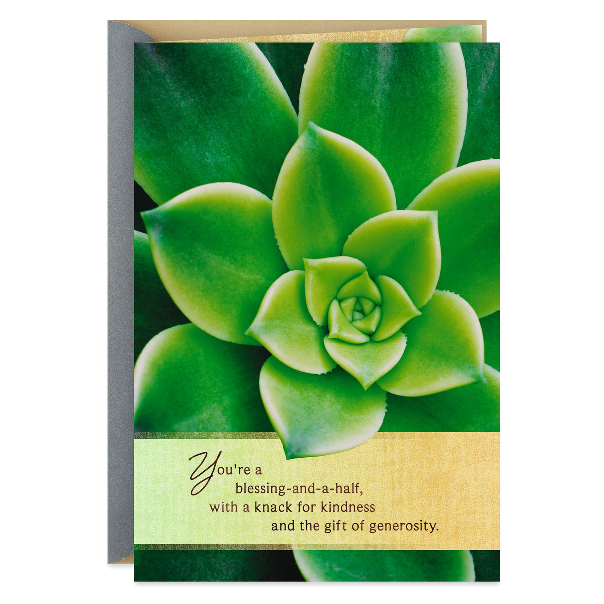 Succulent-Plant-Photo-Youre-a-Blessing-ThankYou-Card_259MHF8109_01