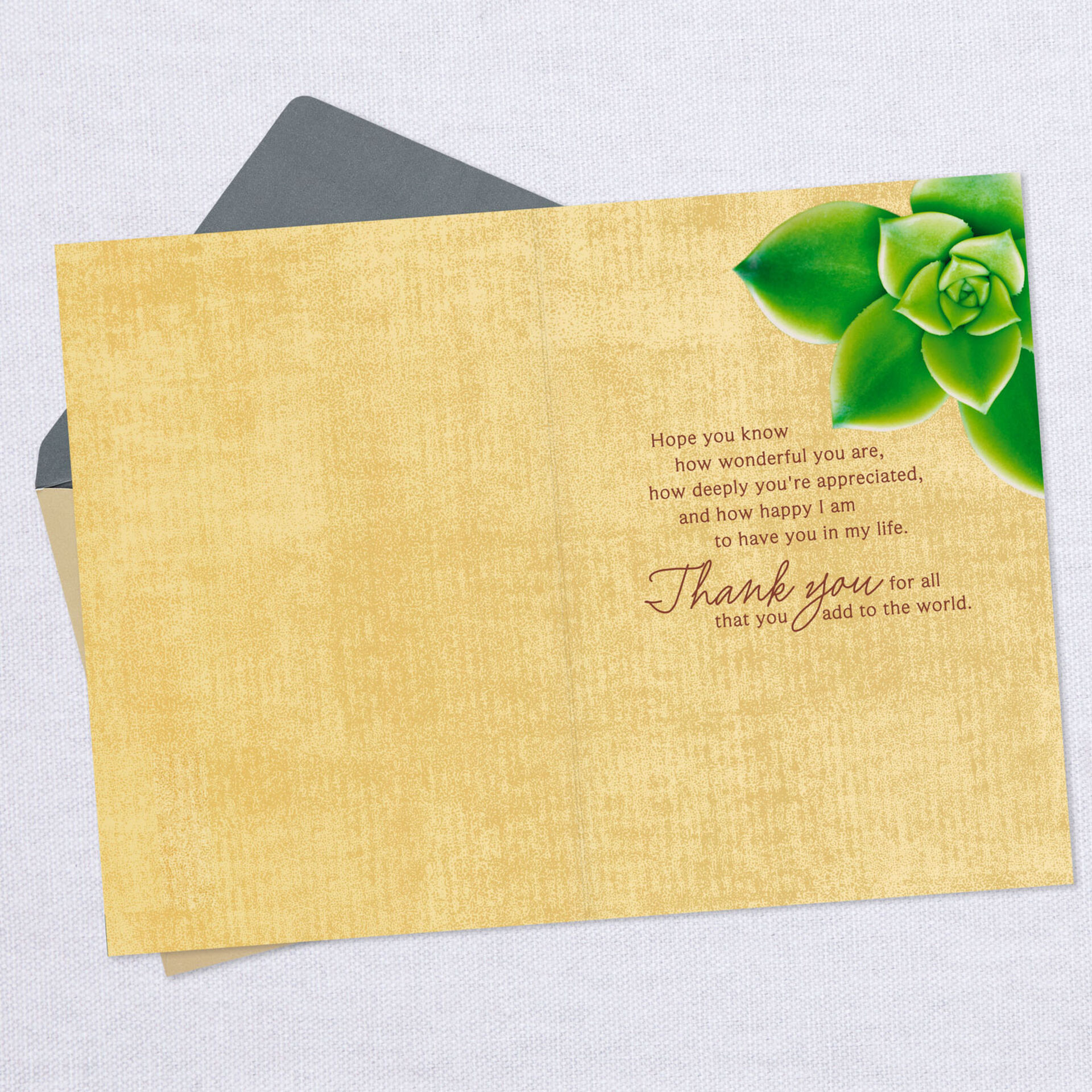 Succulent-Plant-Photo-Youre-a-Blessing-ThankYou-Card_259MHF8109_03