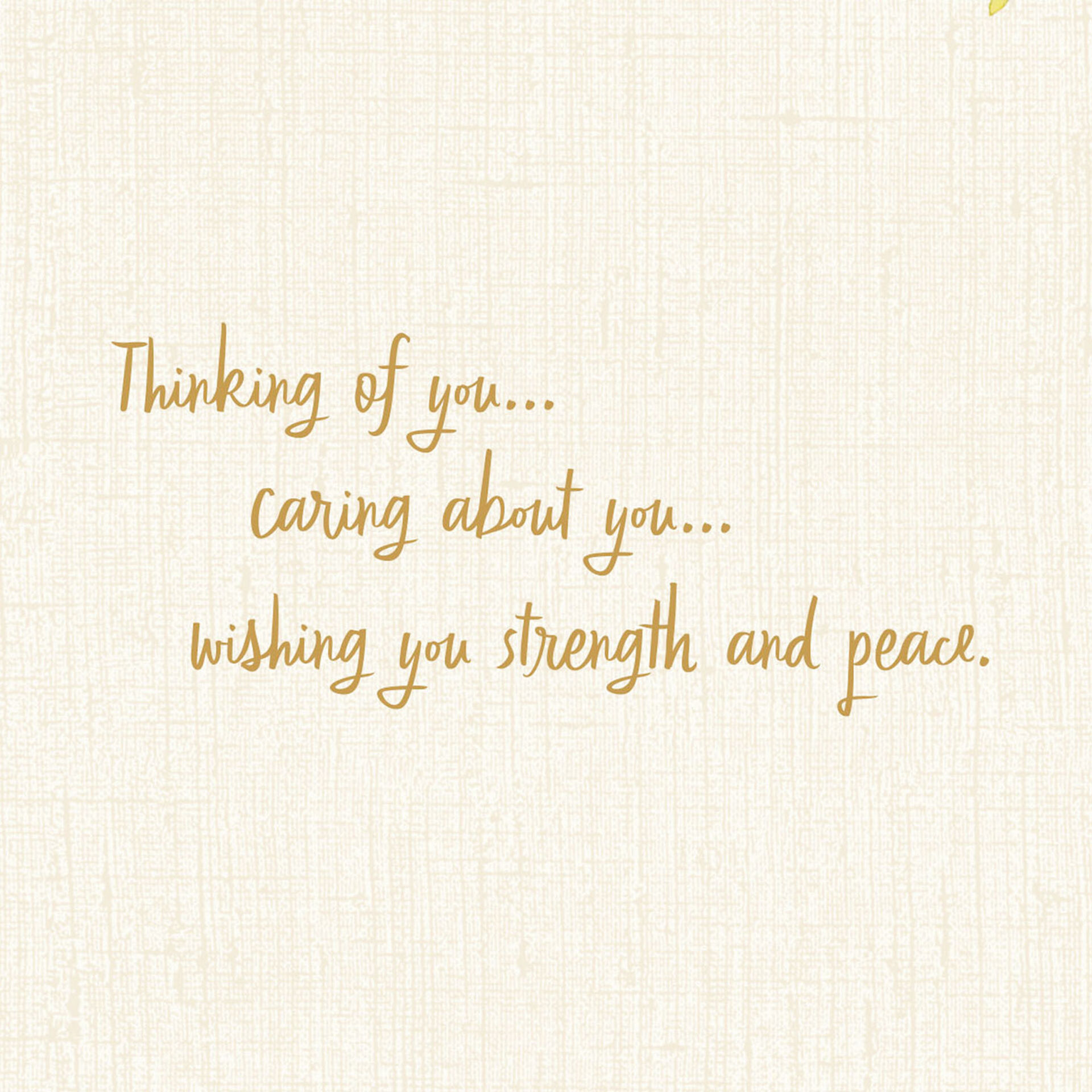 Support-Courage-Thinking-of-You-Card_299FCR1037_02