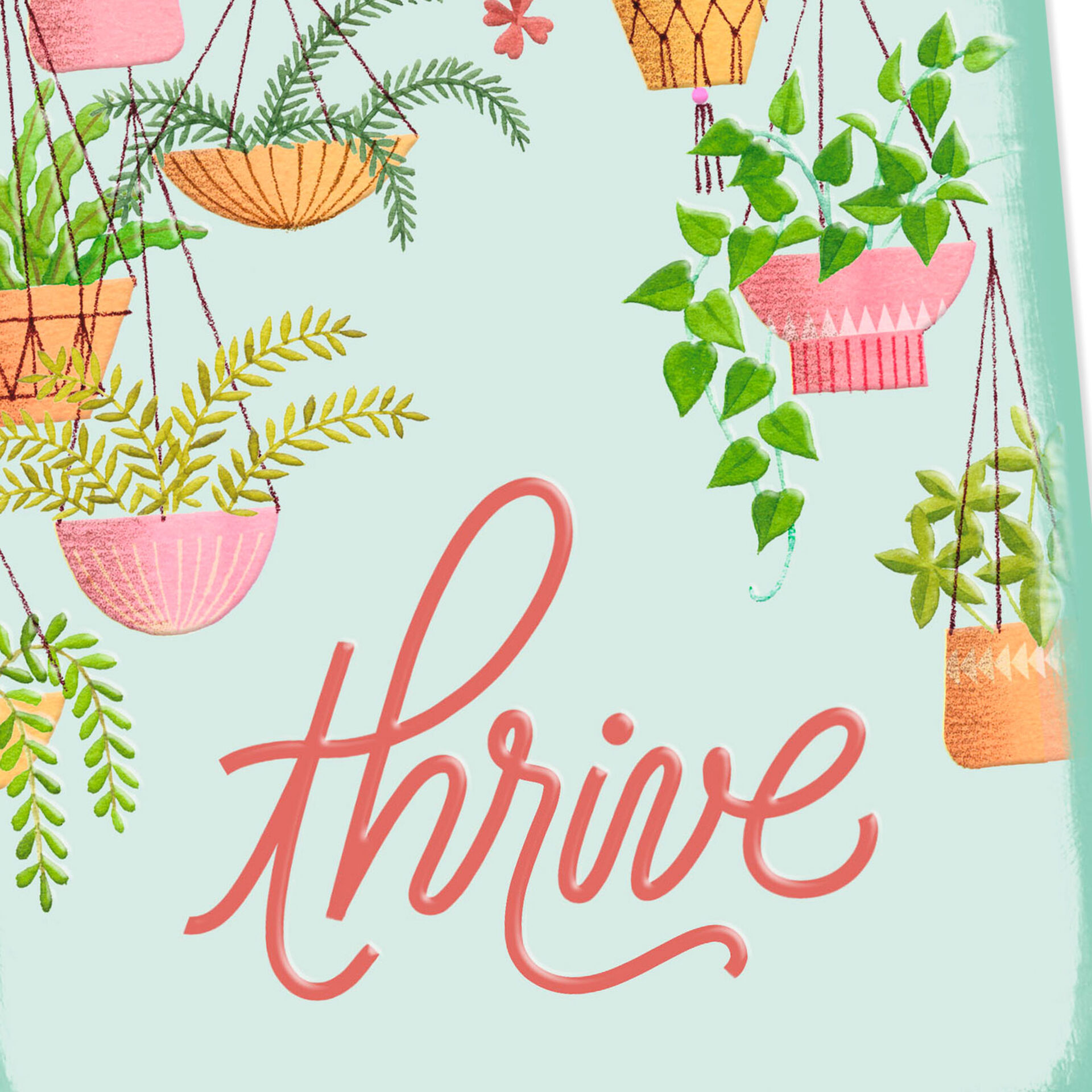 Thrive-Assorted-Houseplants-Blank-Encouragement-Card_299RJB1129_03