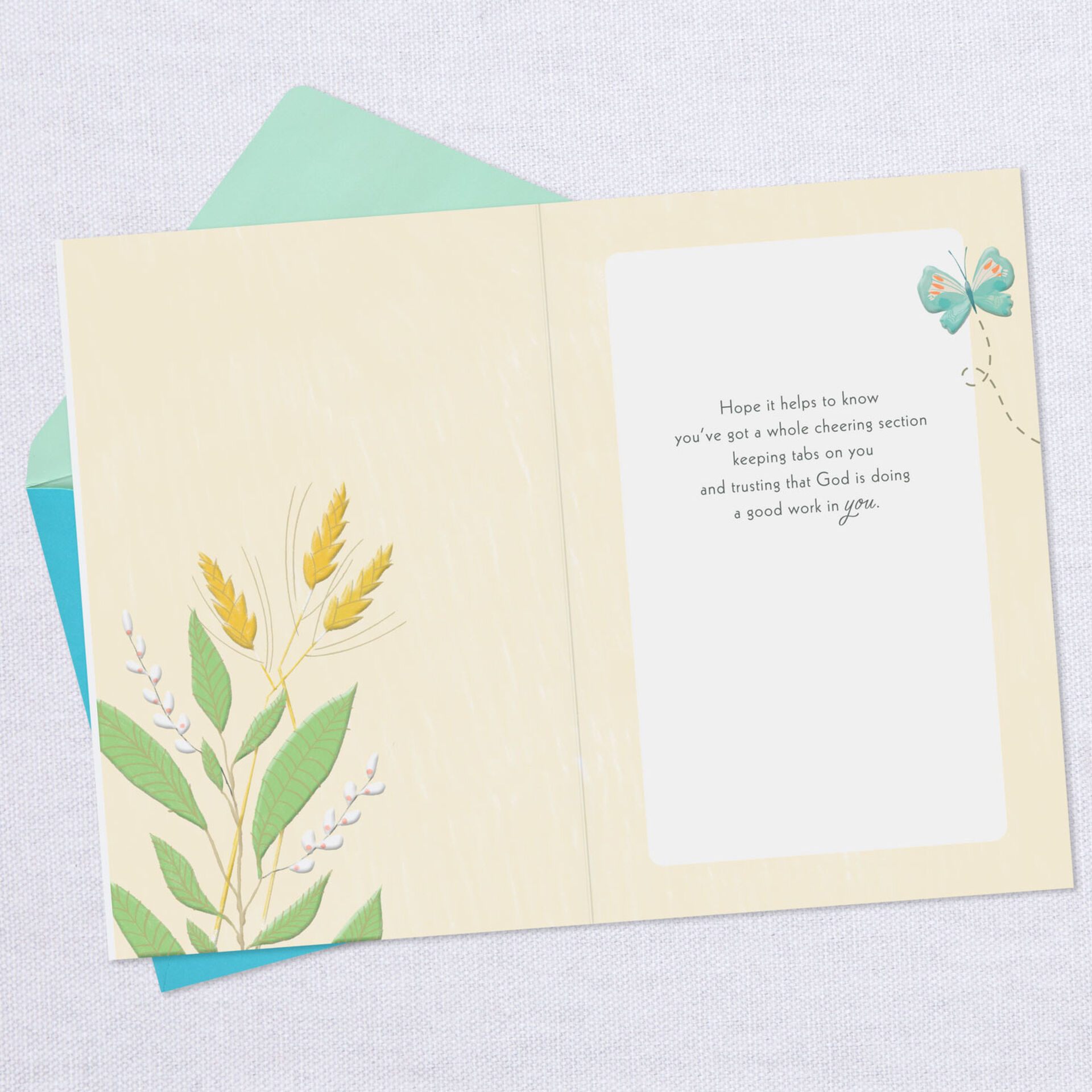 Wheat-Pussy-Willows-Butterfly-Get-Well-Card_329CEY2344_03