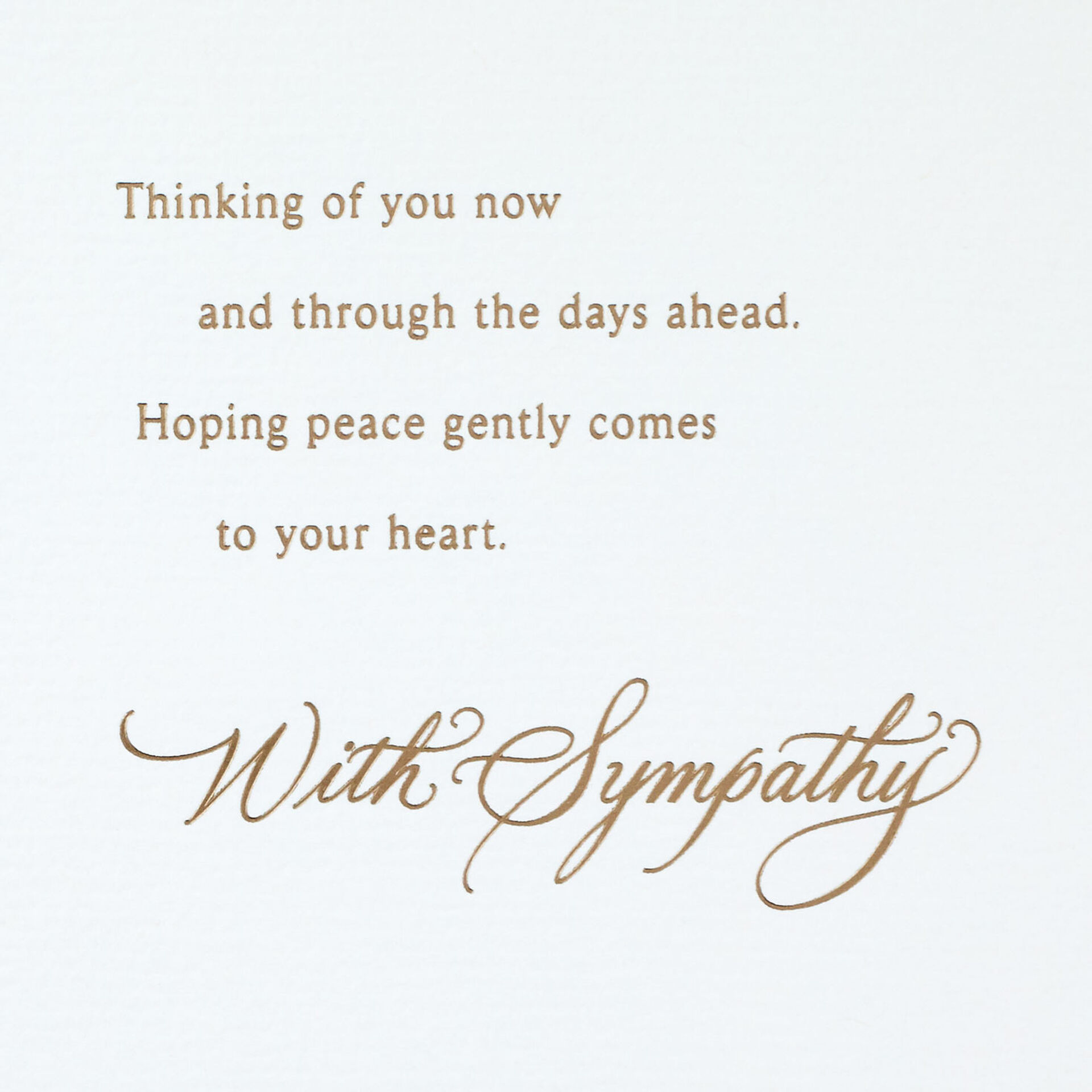 White-Flower-Silhouette-on-Blue-Sympathy-Card_559S9514_02