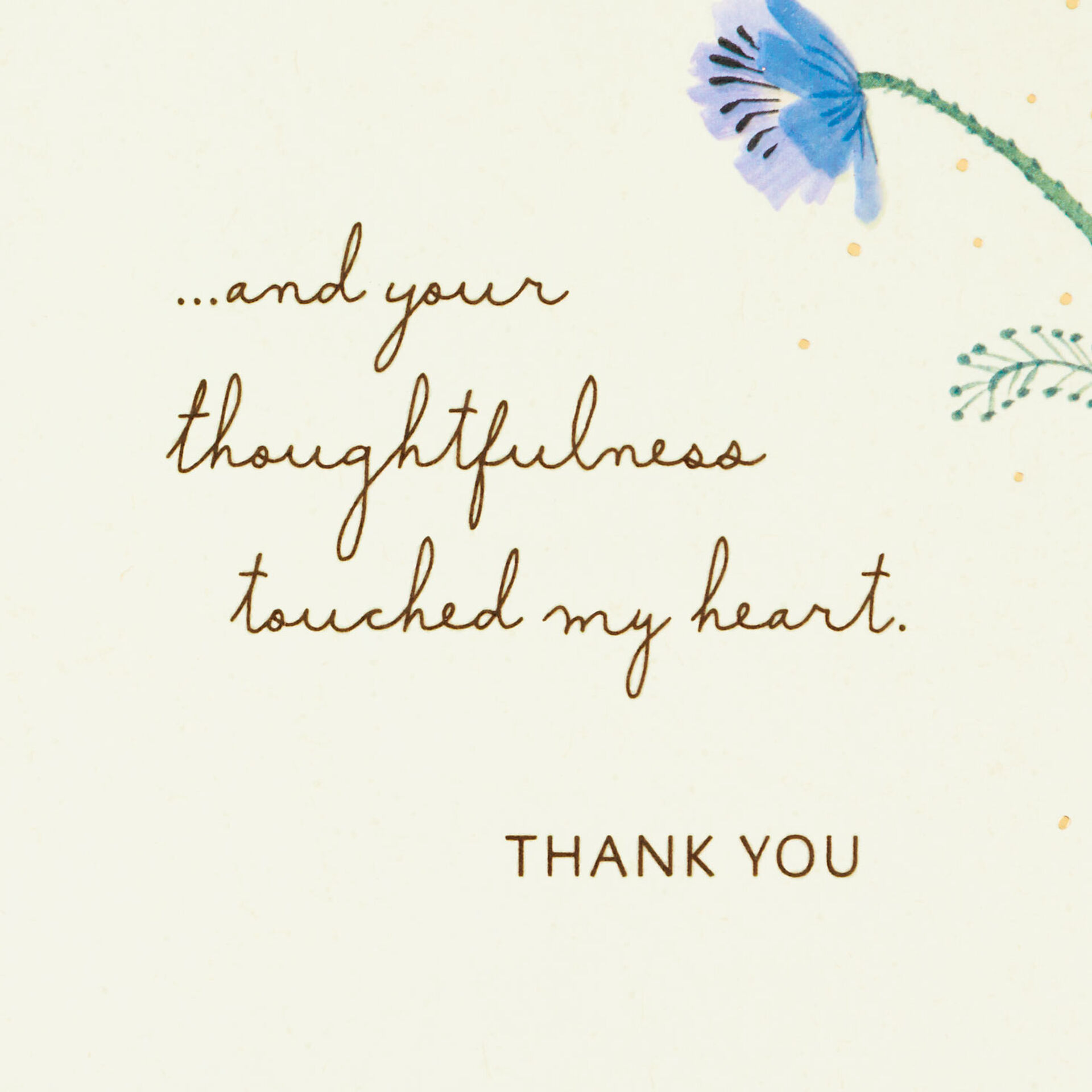 Wildflowers-and-Butterfly-ThankYou-Card_499T9207_02