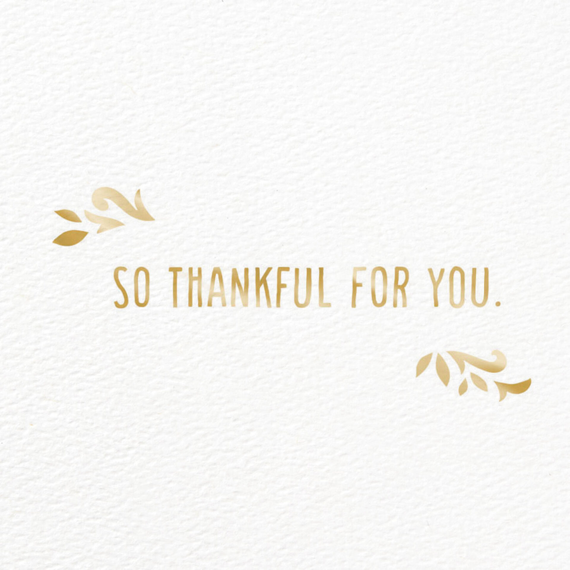 You-Mean-So-Much-Chalkboard-Style-Thank-You-Card_499HRD3010_02