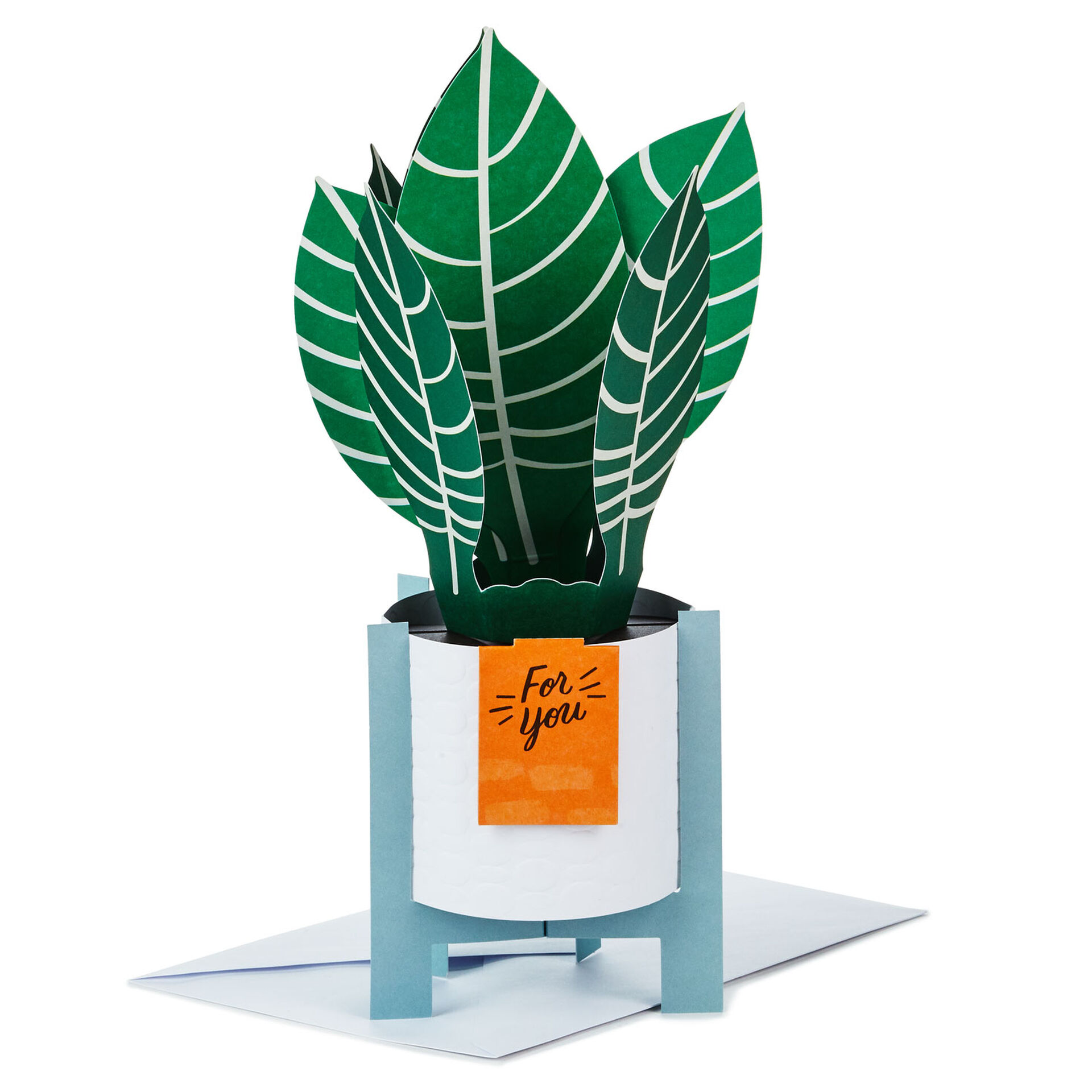Zebra-Plant-Pop-Plant-3D-PopUp-Thinking-of-You-Card_799WDR1200_01
