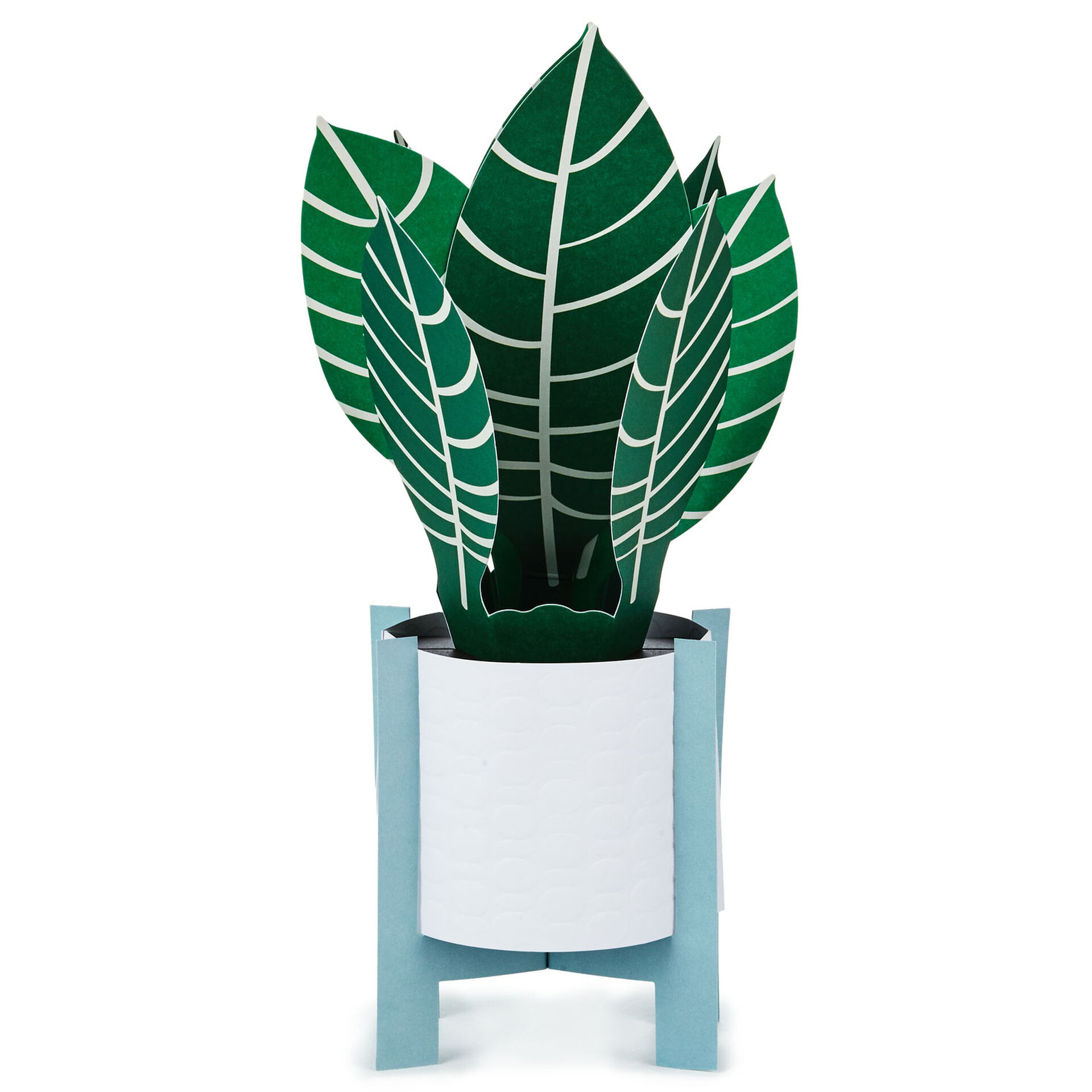Zebra-Plant-Pop-Plant-3D-PopUp-Thinking-of-You-Card_799WDR1200_02