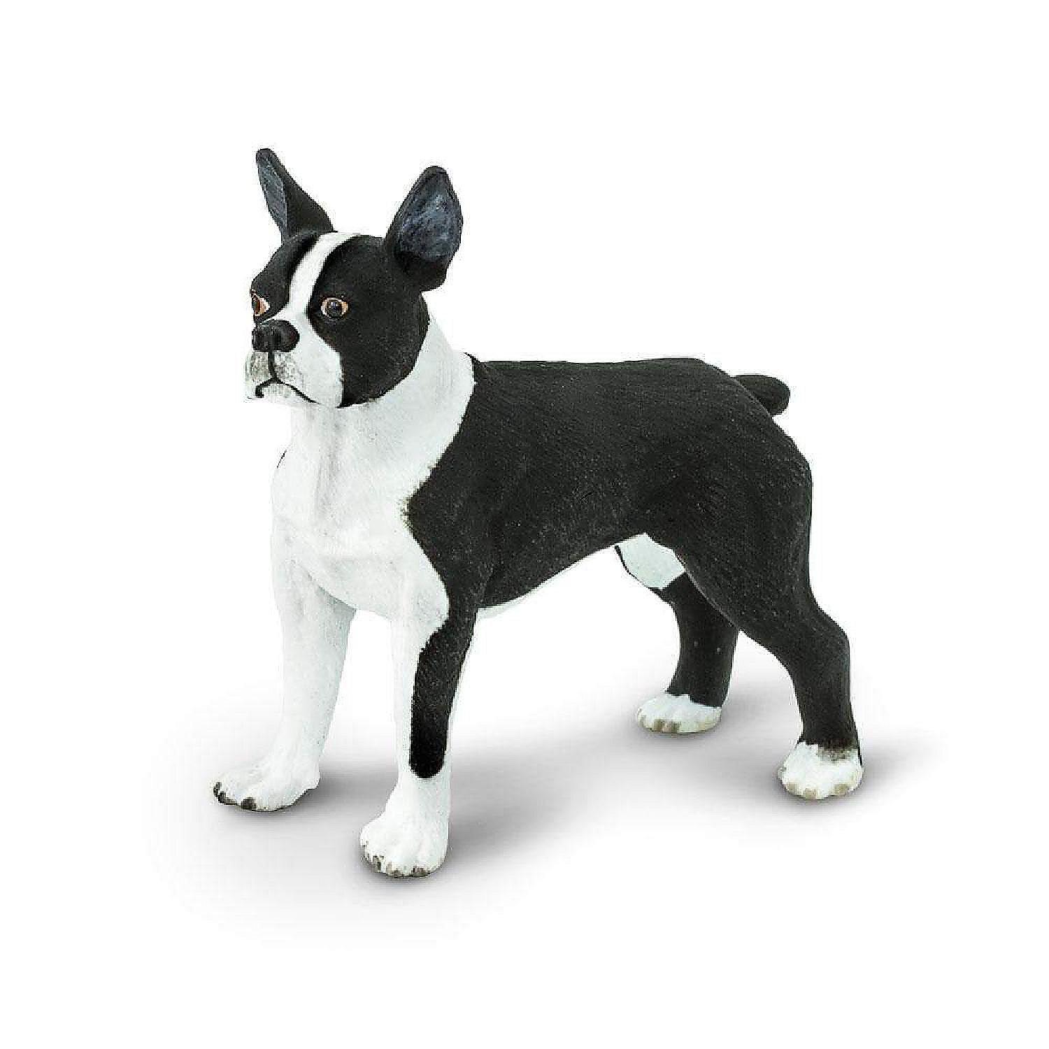 safari-boston-terrier-toy_14239788$NOWA$