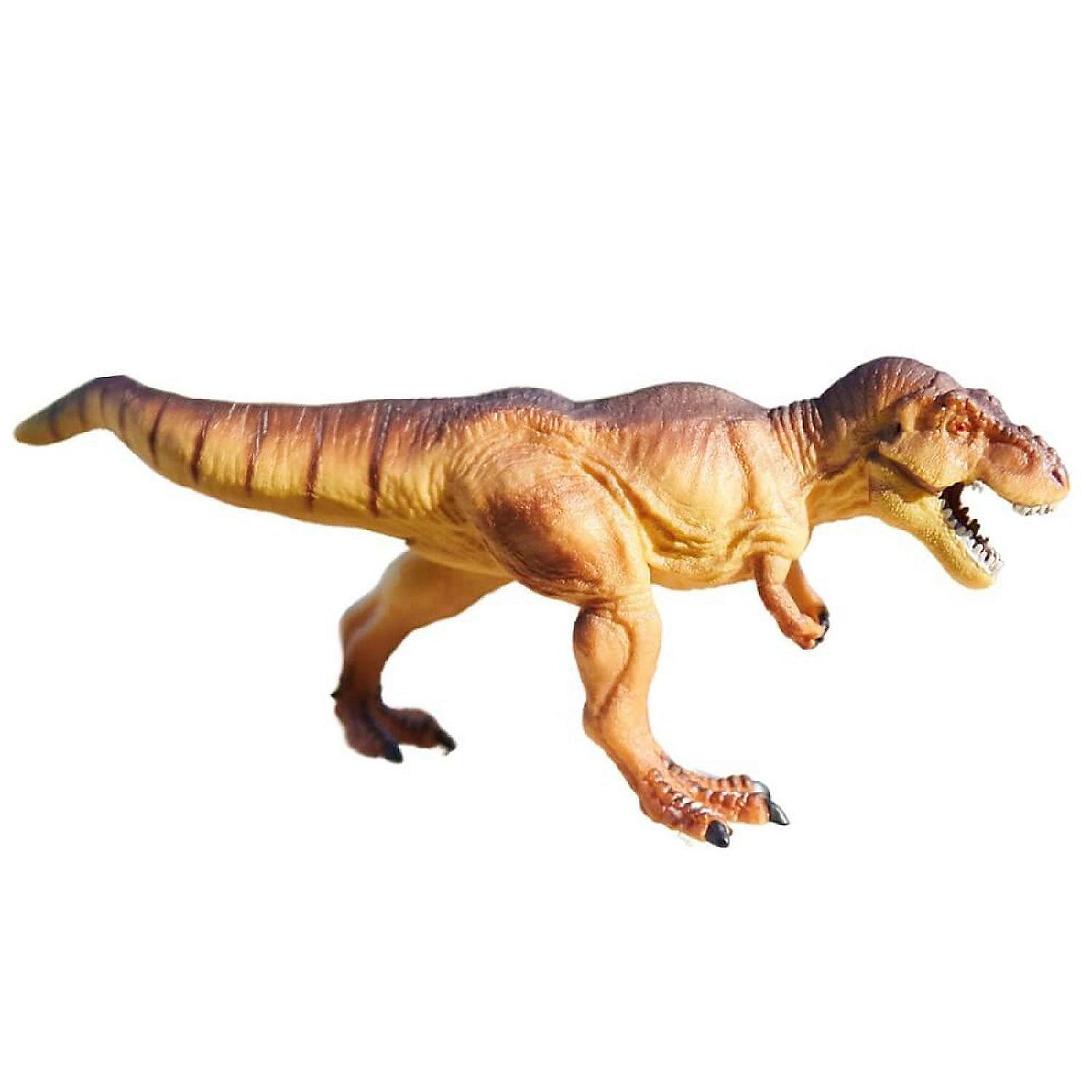 safari-dino-dana-tyrannosaurus-rex-new_14239610$NOWA$