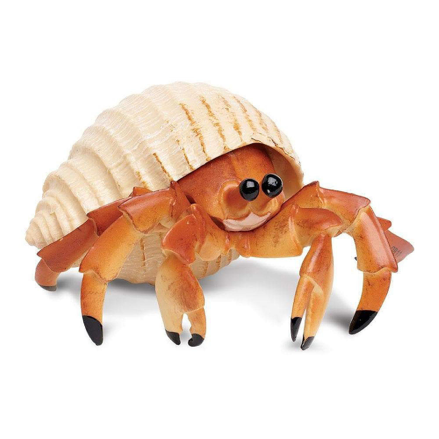safari-hermit-crab-toy_14239600$NOWA$